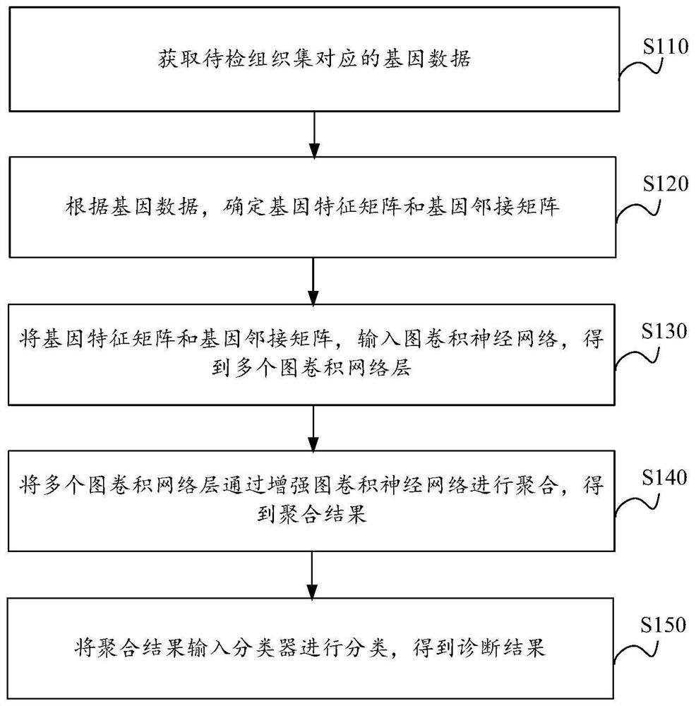 Cancer tissue classification method and device, electronic equipment and storage medium