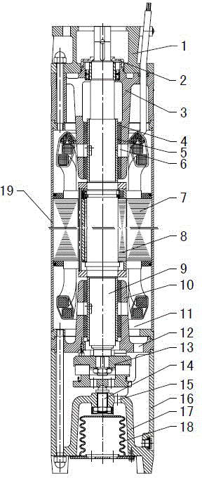 Dipolar permanent magnet synchronous submersible electric motor