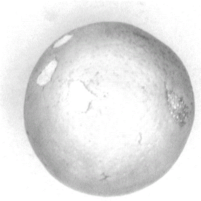 Self-adaption improved gradient information-based fruit surface defect detection method