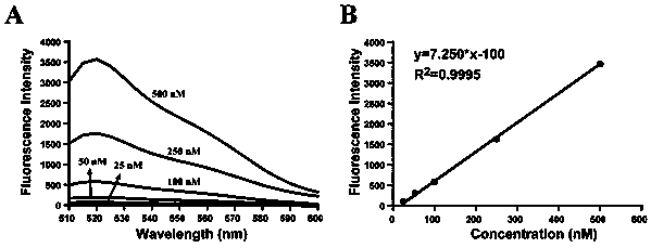 Preparation method of PAMAM and CRISPR/Cas9 system recombinant plasmid delivering nanoparticles
