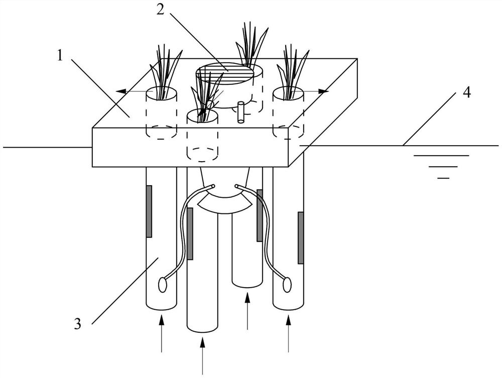 Ultraviolet-enhanced steam stripping zigzag ecological water purification system