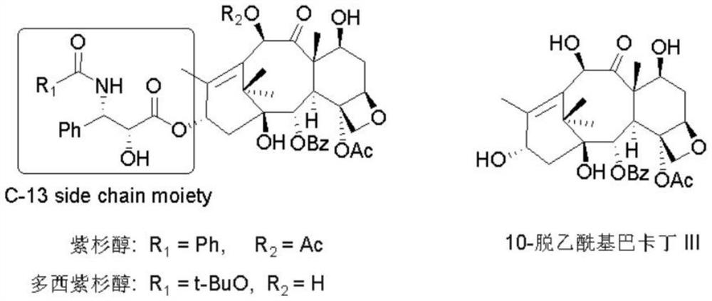 Preparation method of docetaxel chiral side chain intermediate