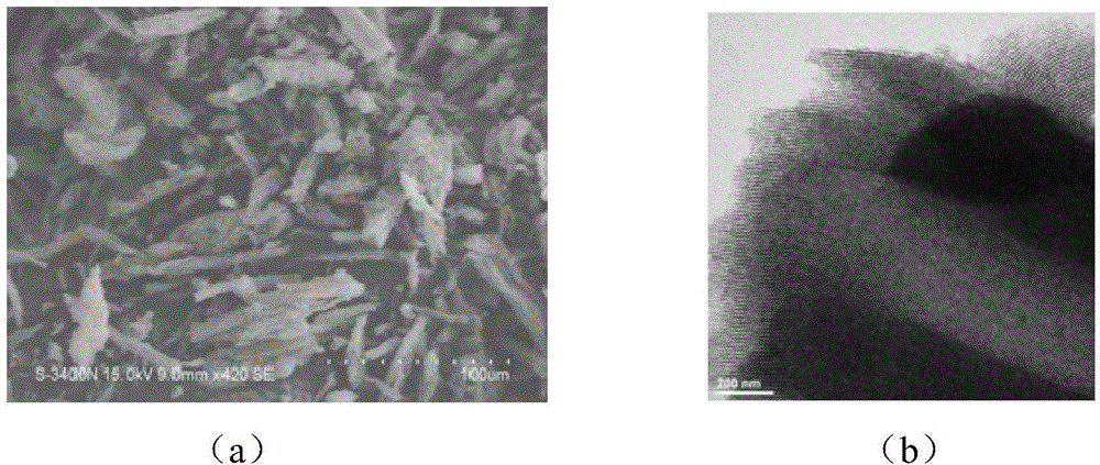 Mesoporous magnesium silicate-calcium sulfate hemihydrate composite material, and preparation method and application thereof