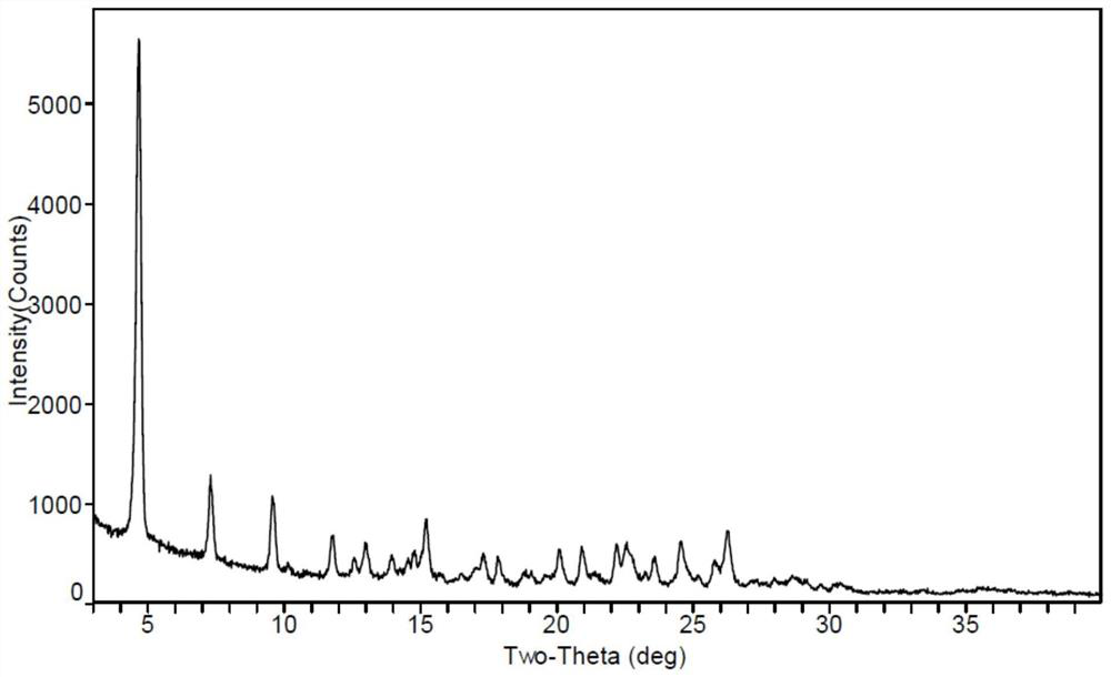 A kind of oral solid preparation and its application