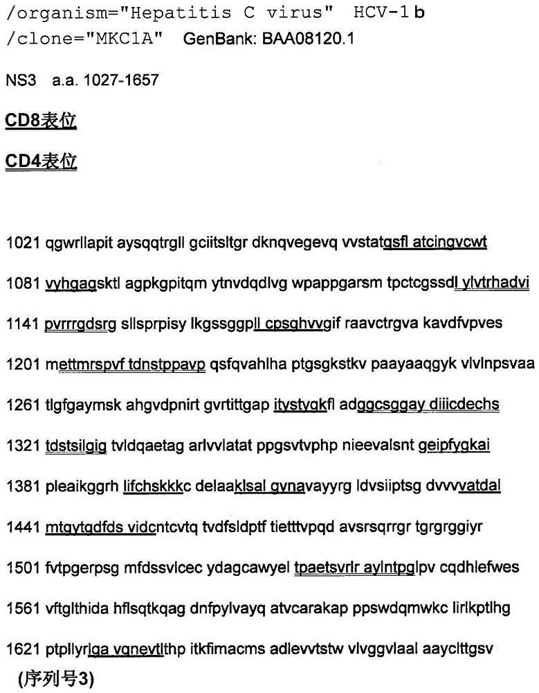 Immunogenic polypeptide surface layer-expressing bifidobacterium