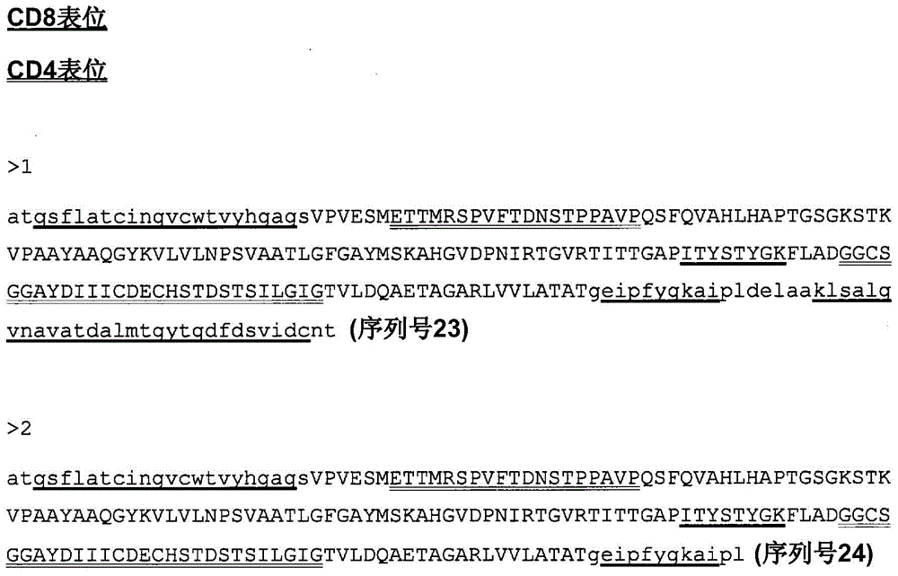 Immunogenic polypeptide surface layer-expressing bifidobacterium