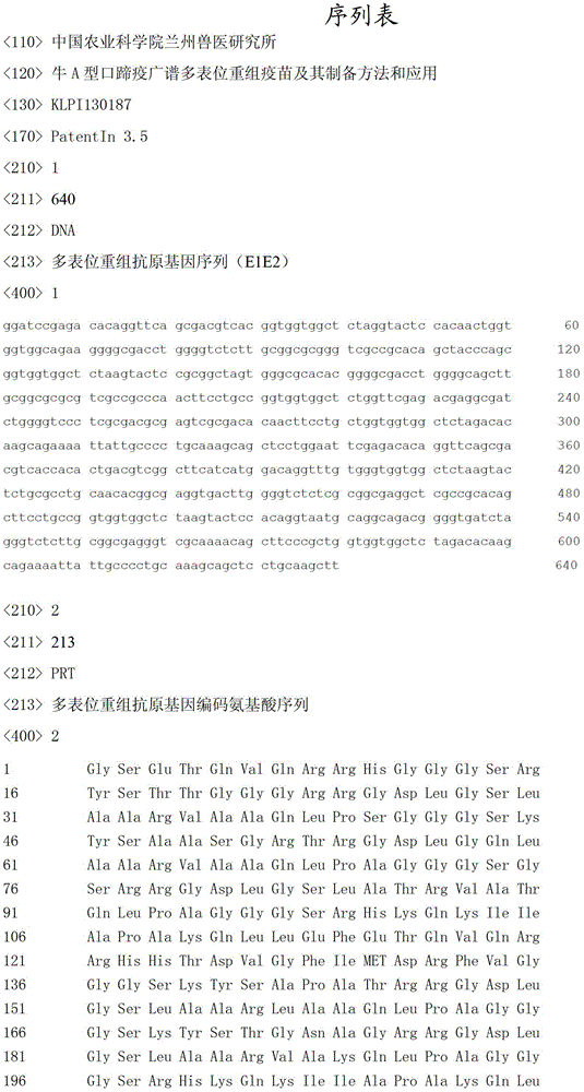 Bovine type A foot-and-mouth disease broad-spectrum multi-epitope vaccine and preparation method and application thereof