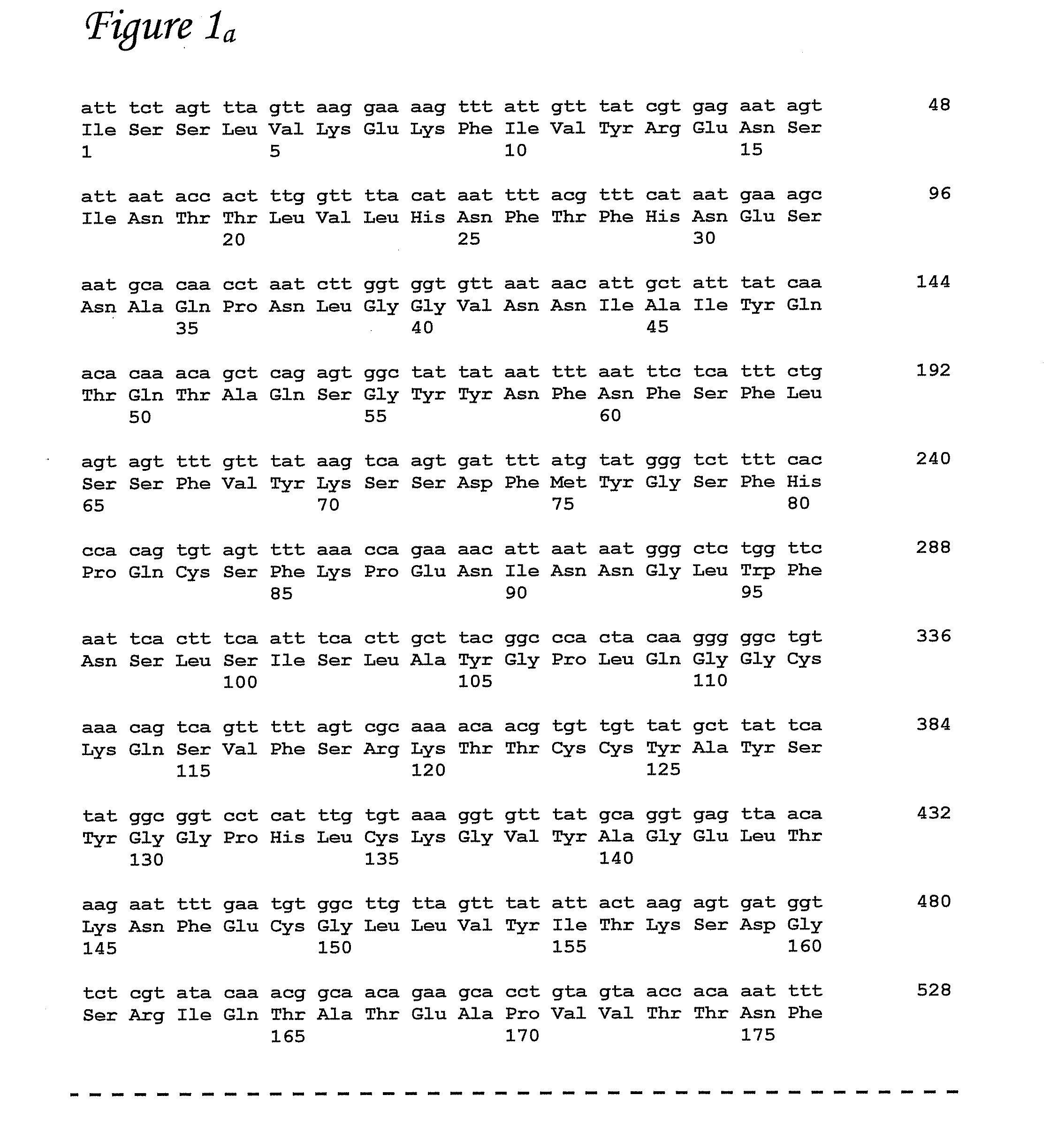 Poultry viral materials and methods related thereto