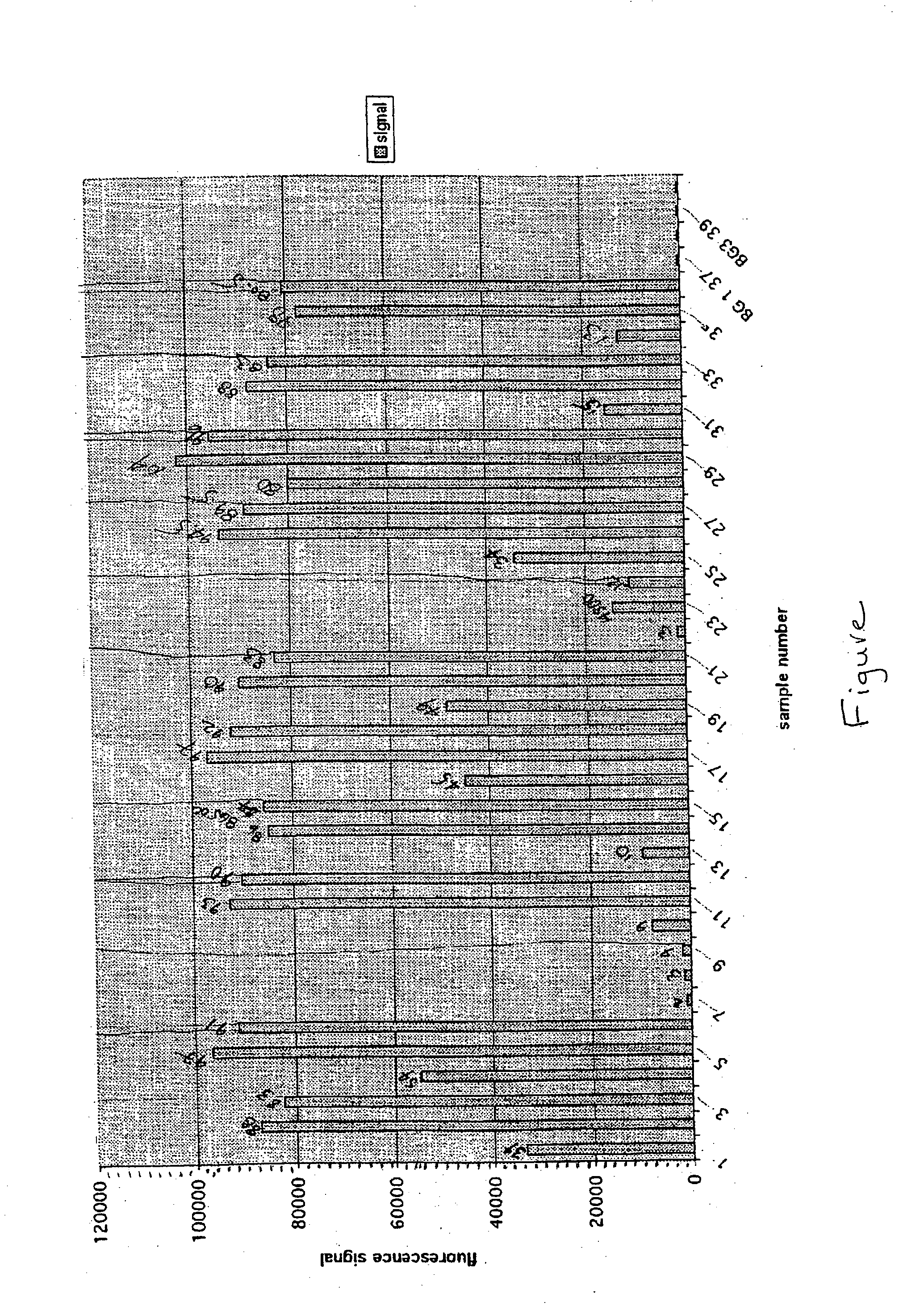 Arrays with modified oligonucleotide and polynucleotide compositions