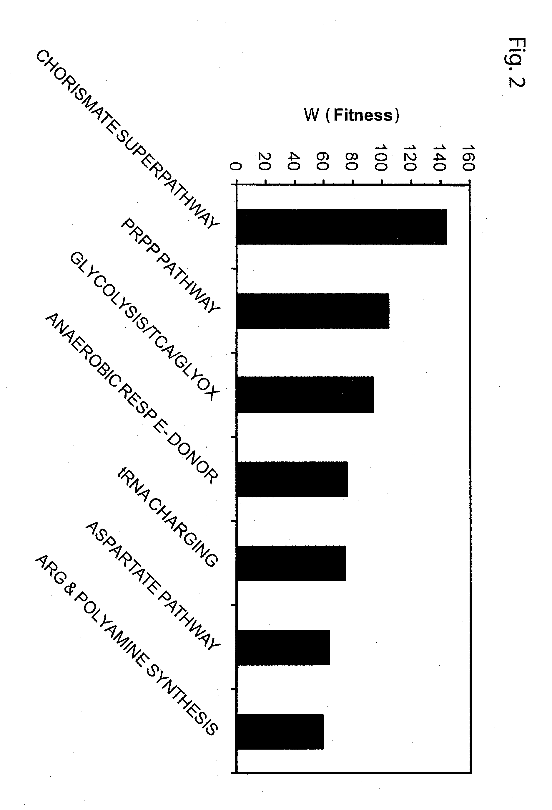 Compositions and methods for enhancing tolerance for the production of organic chemicals produced by microorganisms