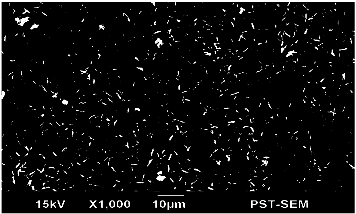 Coating liquid phosphatizing agent and preparation method thereof