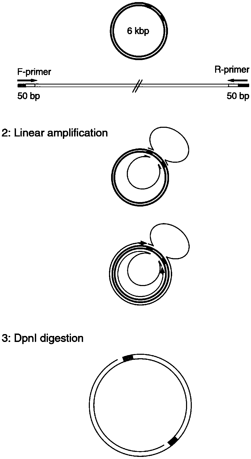 Marine low-temperature MDH (malate dehydrogenase) gene and recombinant expression vector thereof