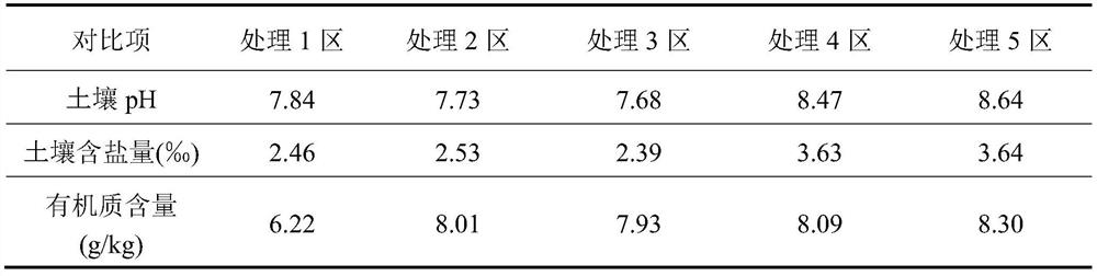 Microbial fertilizer for promoting decomposition of soil organic matters and preparation process thereof