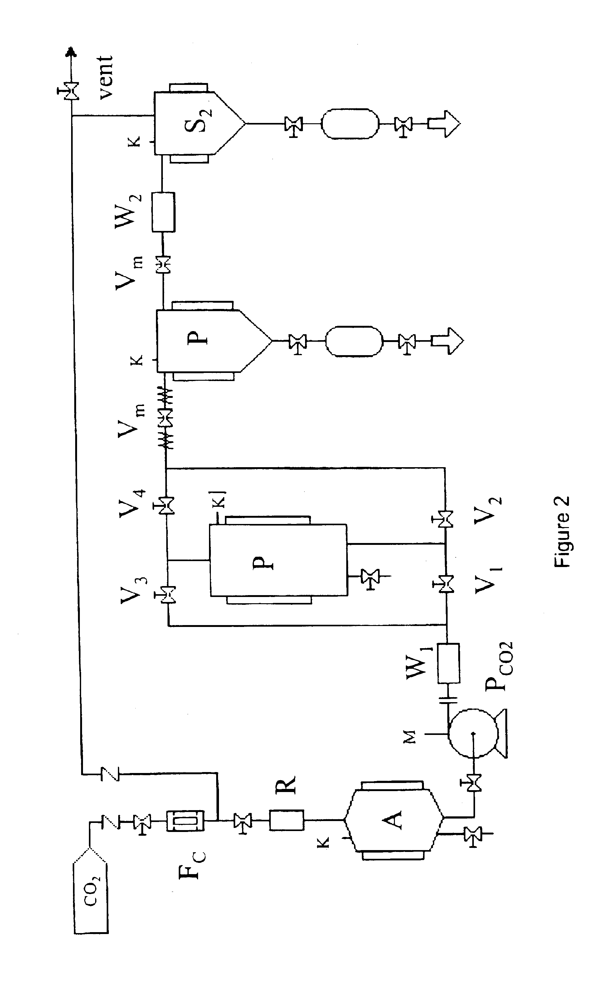 Process for the preparation of accelerated release formulations using compressed fluids
