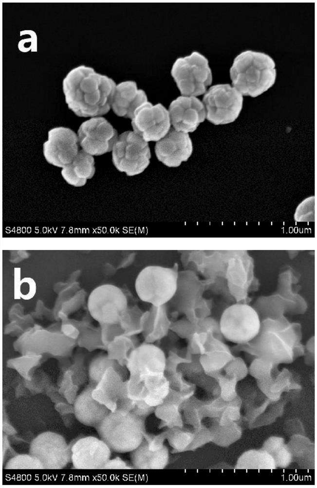 Preparation method of micro/nano structure cadmium sulfide/aniline oligomer composite material