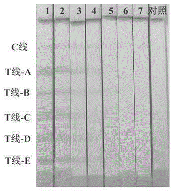 Colloidal gold test strip for simultaneous detection of five staphylococcus aureus enterotoxins and preparation method thereof