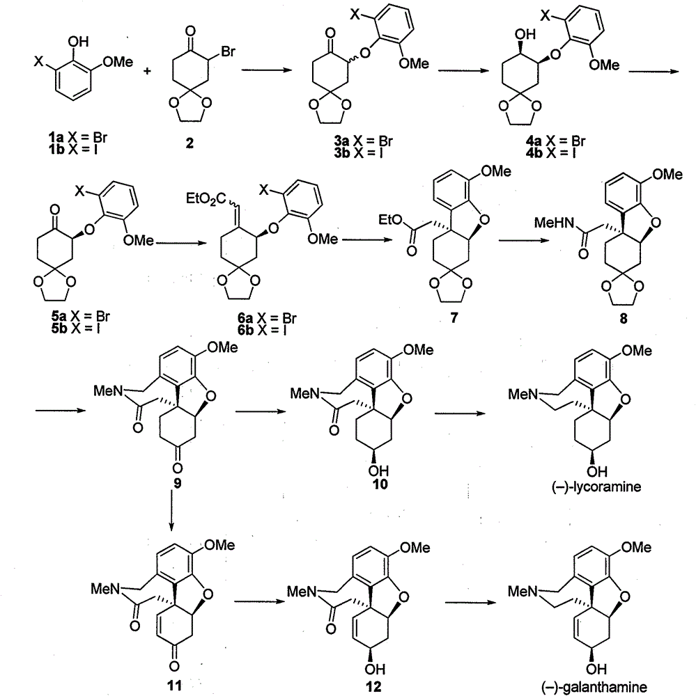 Asymmetric synthesis method for galanthamine and lycoramine