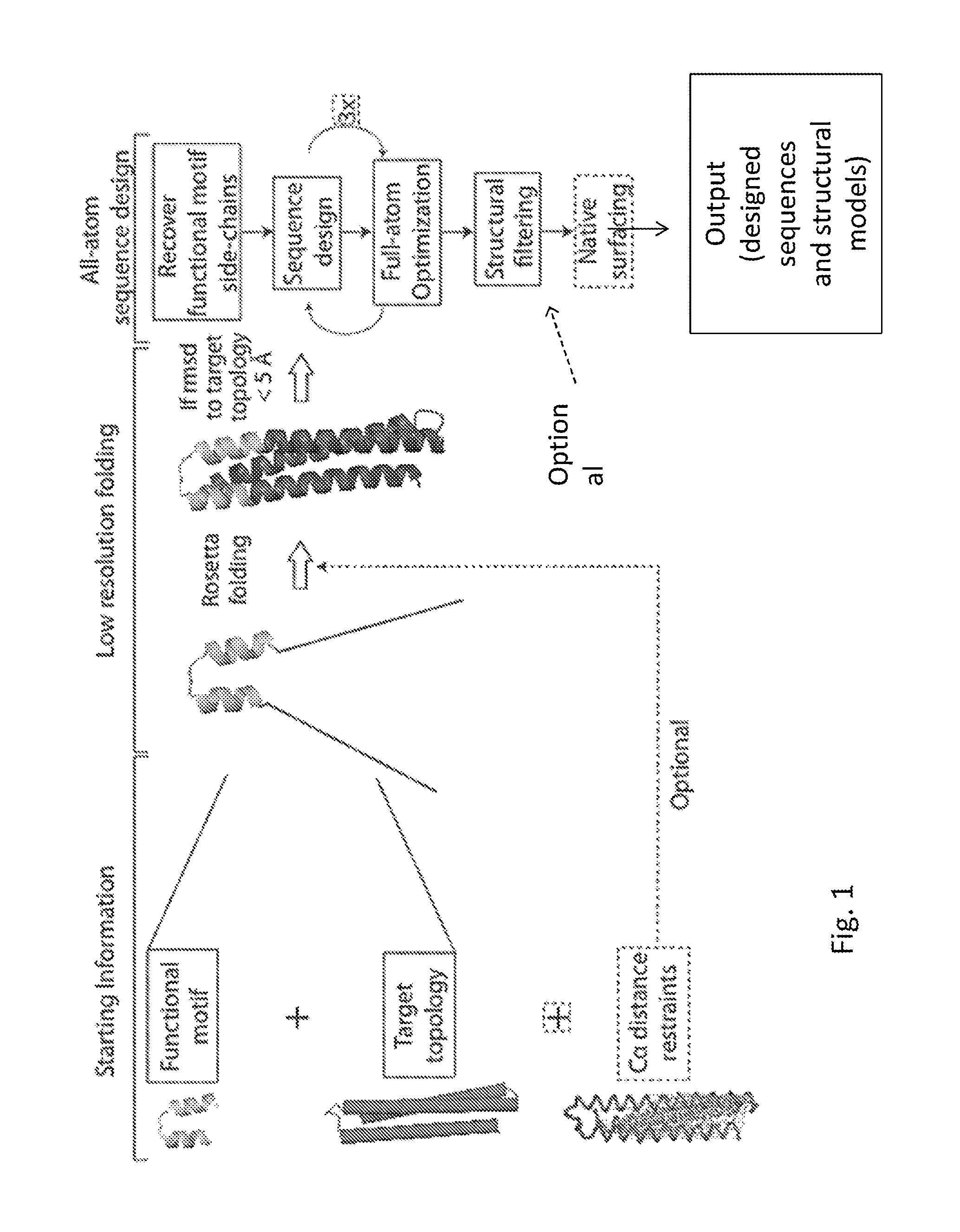 Polypeptides and their Use in Treating and Limiting Respiratory Syncytial Virus Infection
