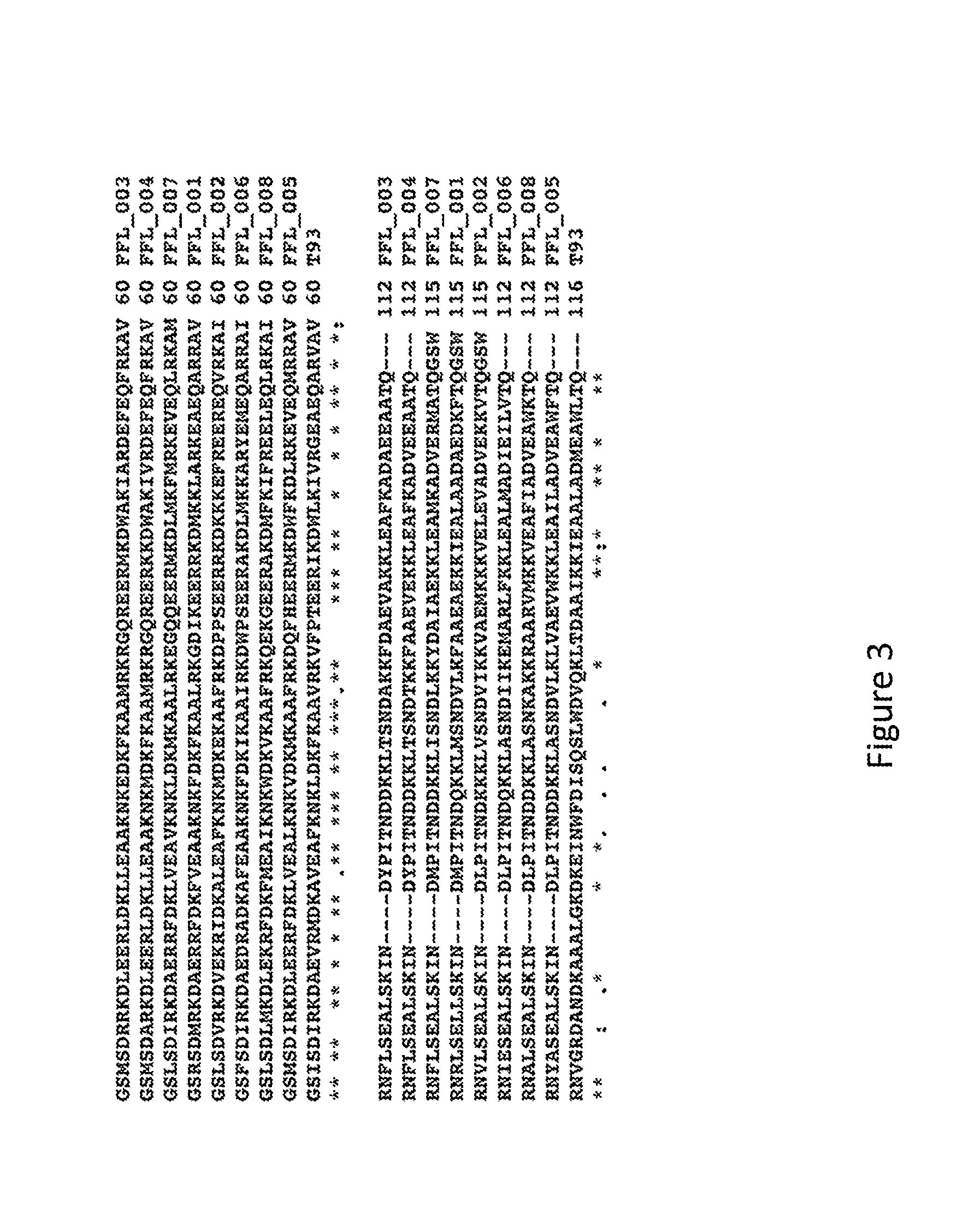 Polypeptides and their Use in Treating and Limiting Respiratory Syncytial Virus Infection