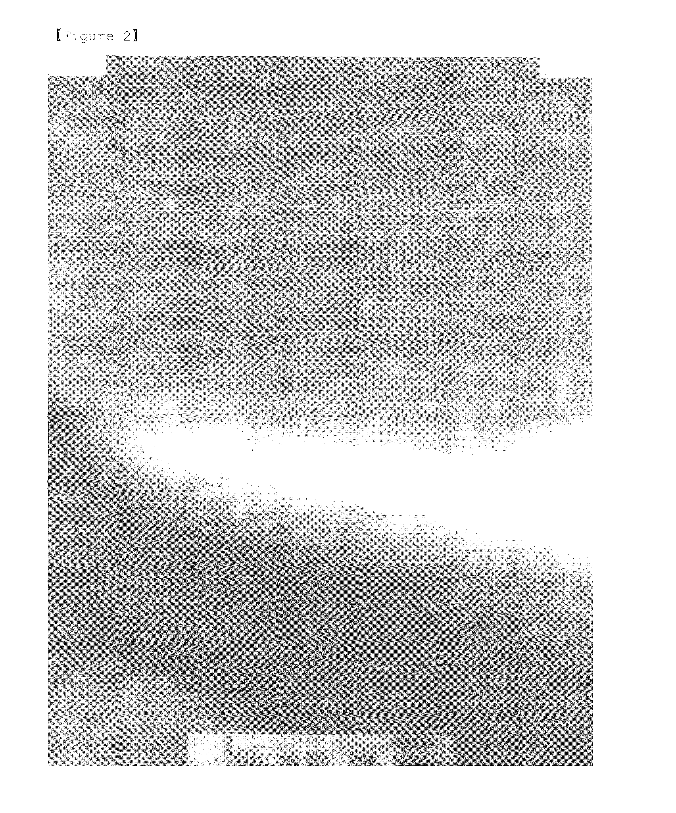 Method for Preparing Resin Compositions Containing Nano Silver Particles