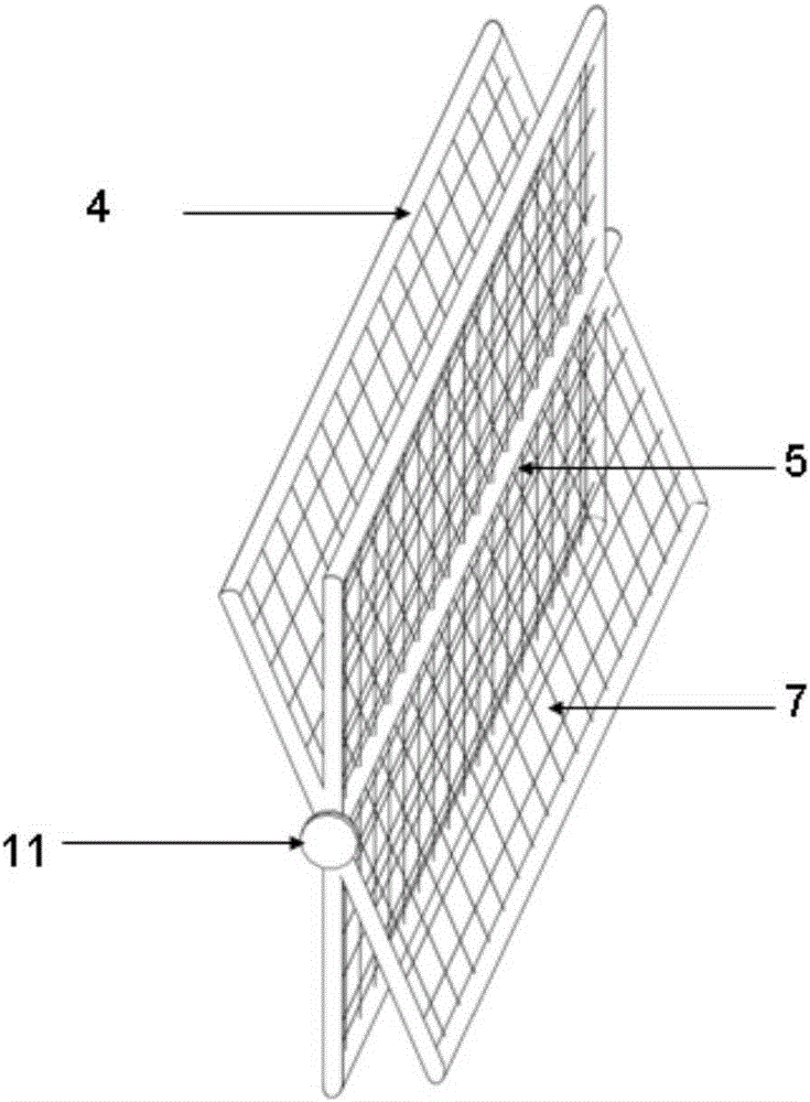 A cross-shaped collapsible golden squid spawning reef