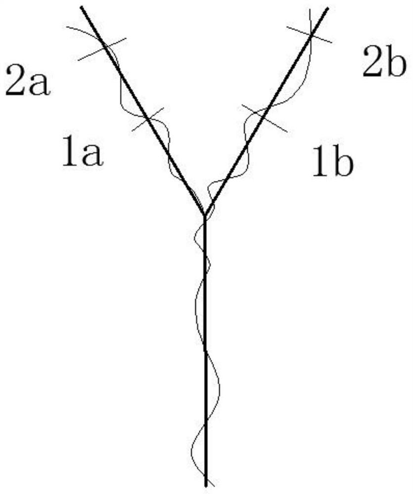 A method of pruning two crops of 'Guipu No. 6' harvested twice a year