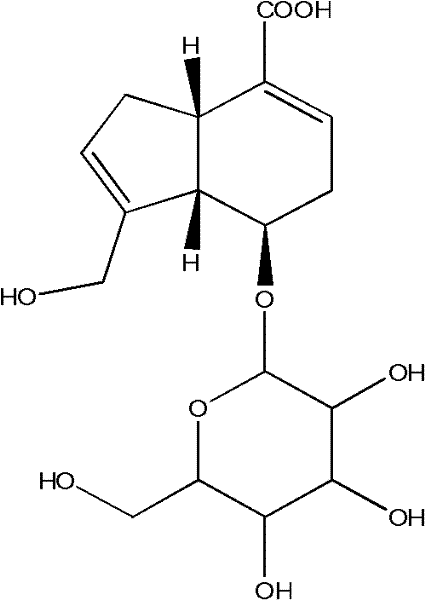 A kind of psyllium extract and its preparation method and application