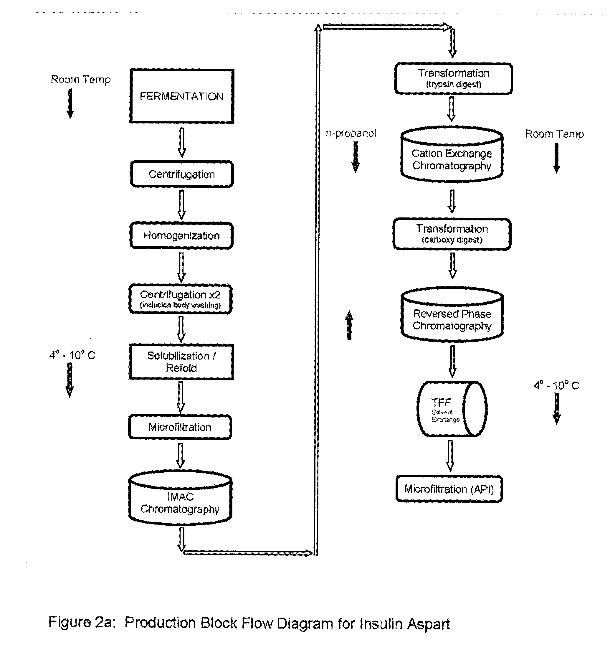 Aspart proinsulin compositions and methods of producing aspart insulin analogs