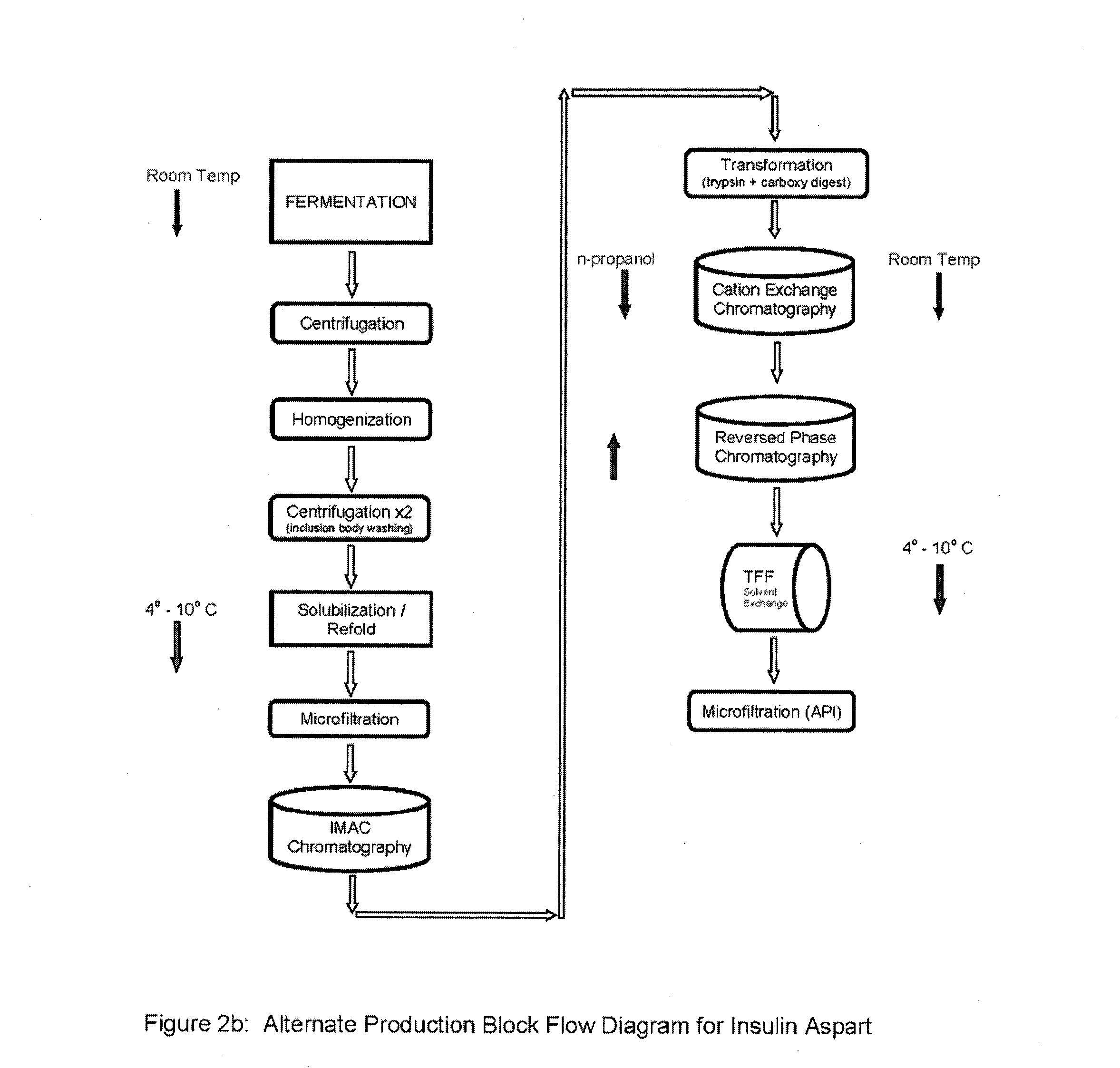 Aspart proinsulin compositions and methods of producing aspart insulin analogs