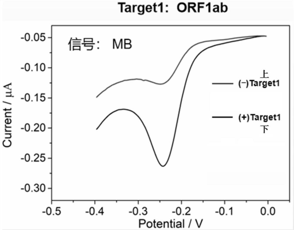 An electrochemical detection method for novel coronavirus 2019-ncov