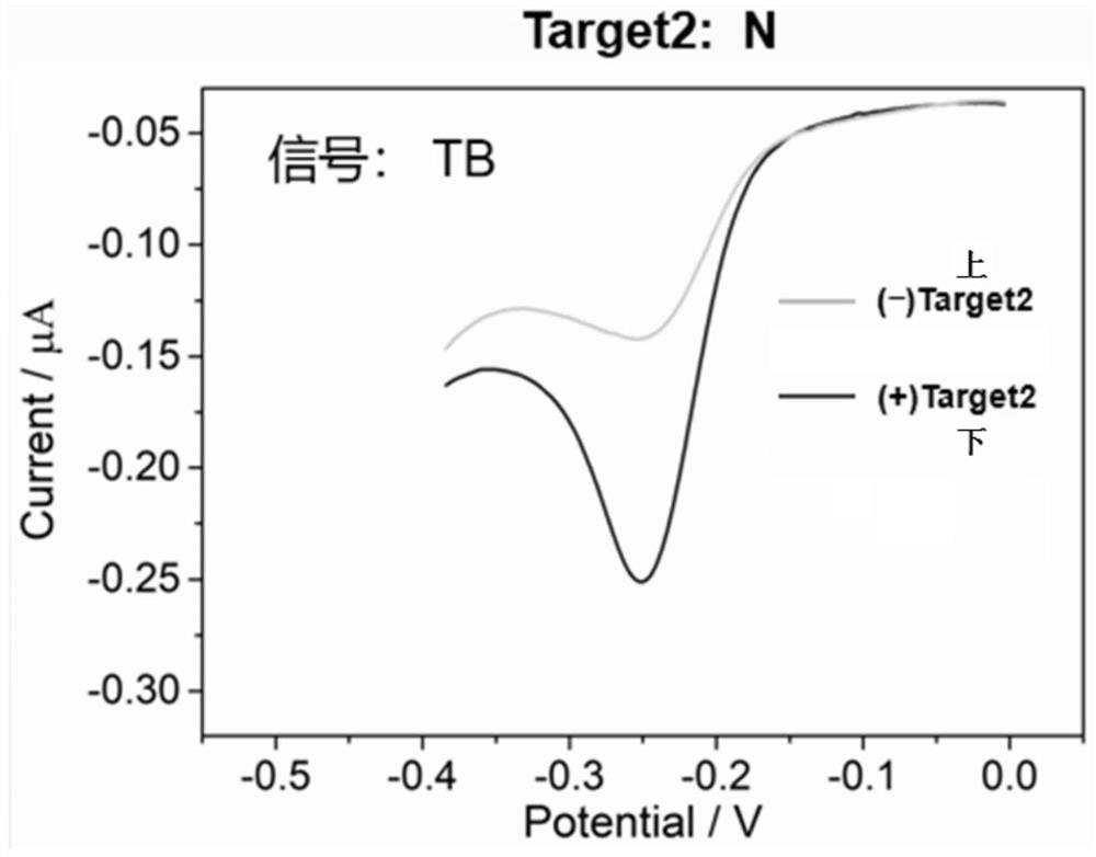 An electrochemical detection method for novel coronavirus 2019-ncov