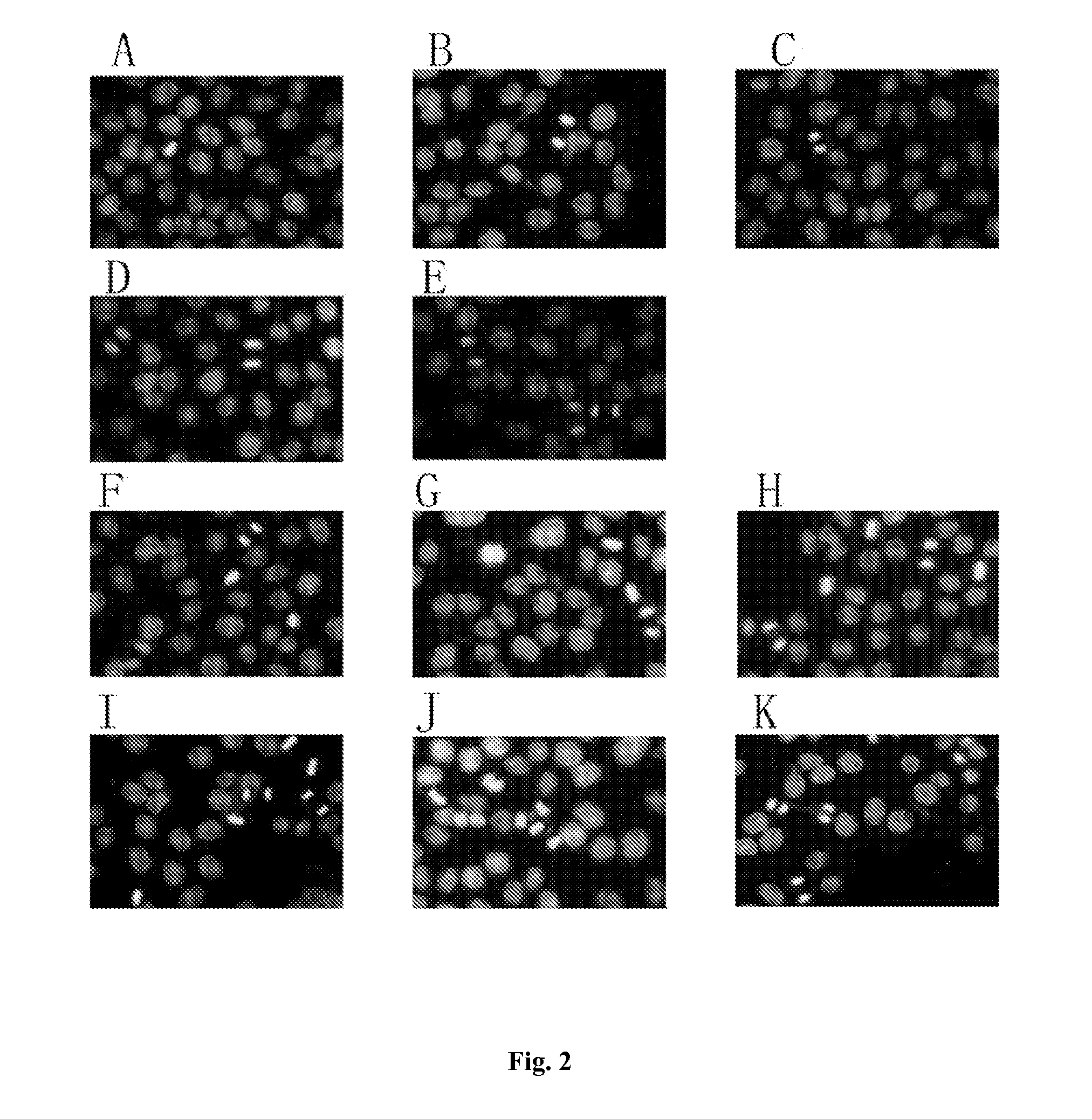 Retinoid Derivative and Pharmaceutical Composition and Use Thereof