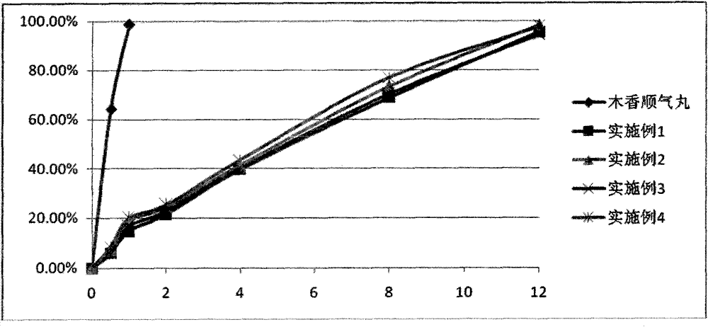 Aplotaxis carminative sustained-release preparation and preparation method thereof