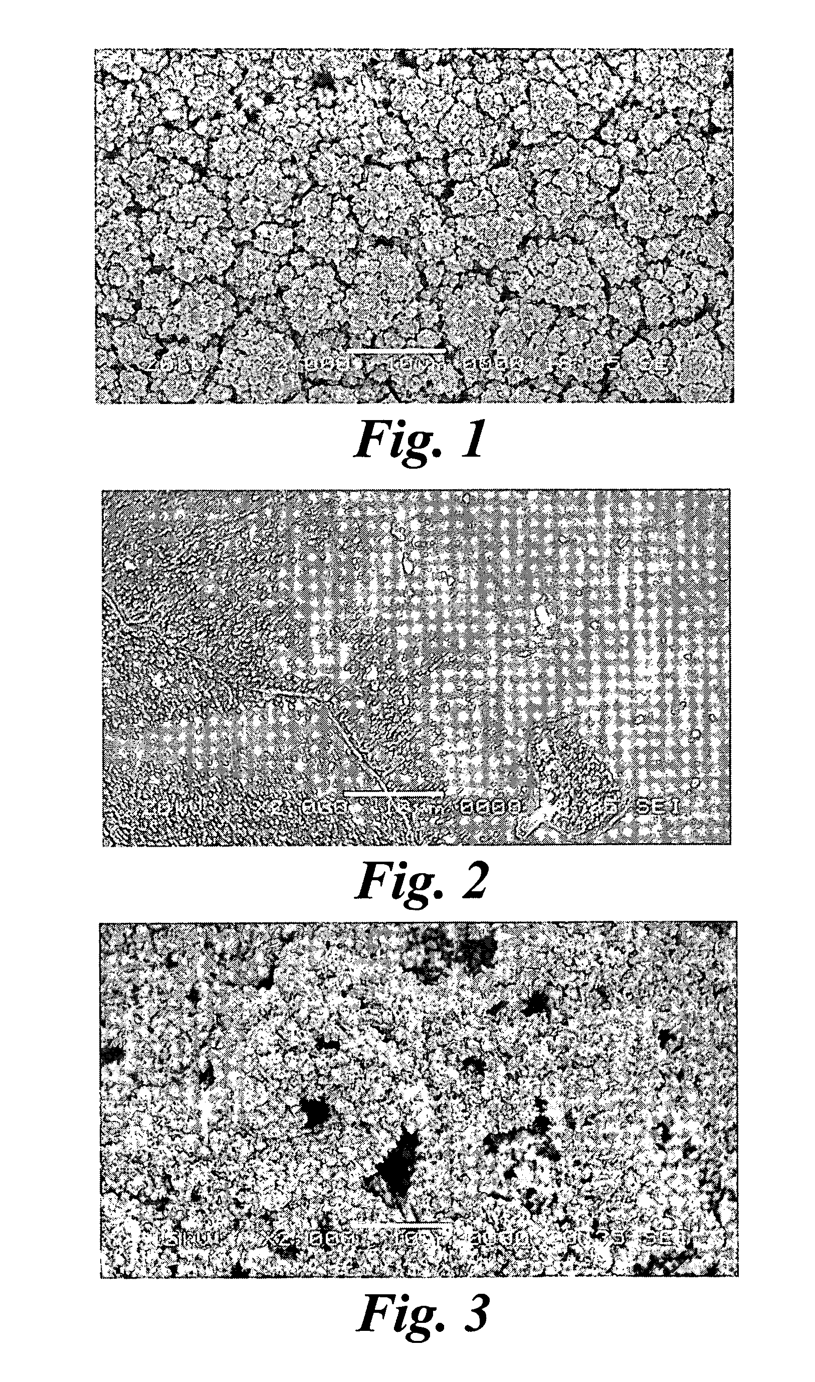 Catalyst and a method for manufacturing the same