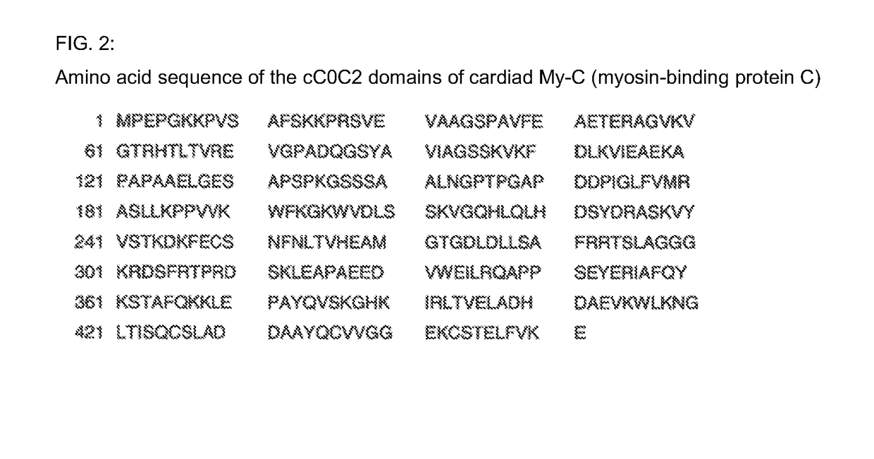 Hybridoma cell lines (My-C-cC0C2-259-1 A4) and use thereof for producing a monoclonal antibody against human cardiac myosin binding protein C (C-protein, MYBPC3, cMyBP-C or My-C)