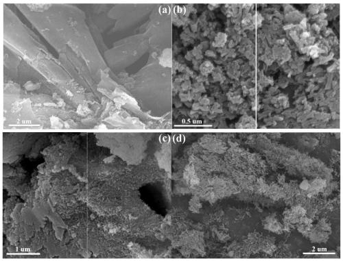 Preparation method and application of highly crystalline carbon nitride photocatalytic material
