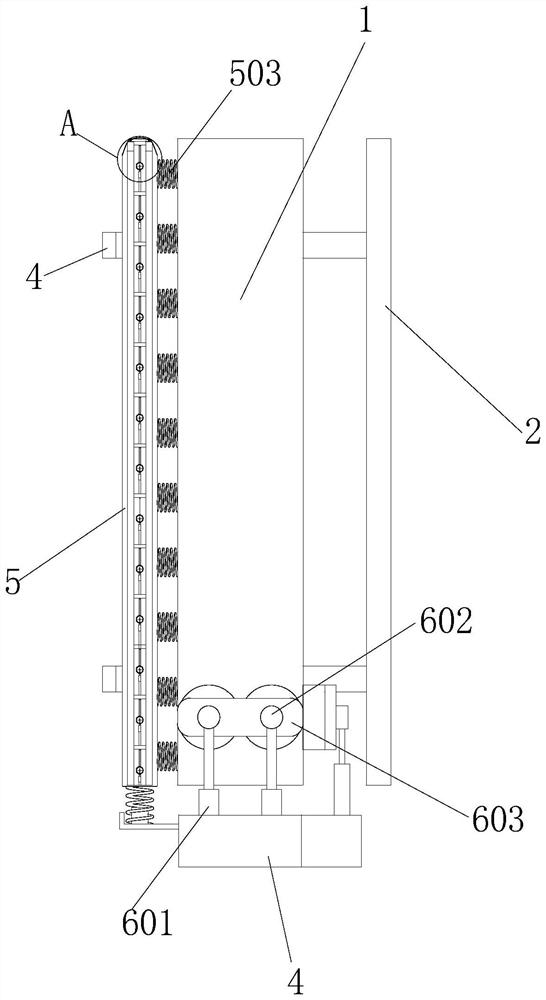 Bird repelling wireless network bridge