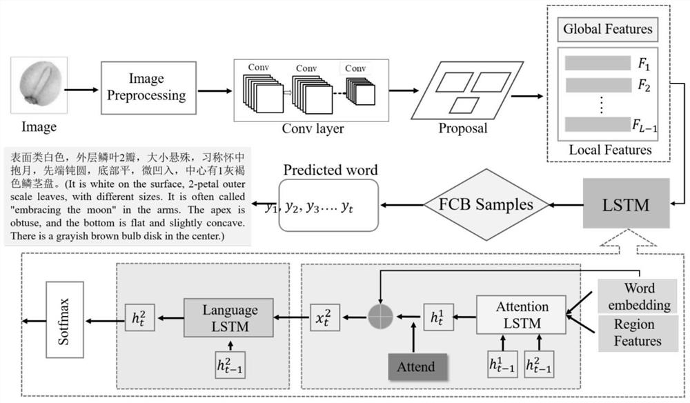 A medicinal material or decoction piece identification method based on an image annotation deep learning algorithm model