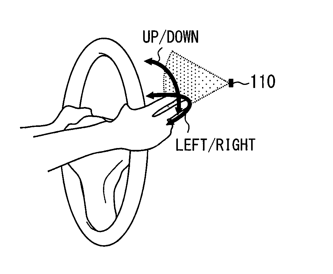 Detection device and gesture input device