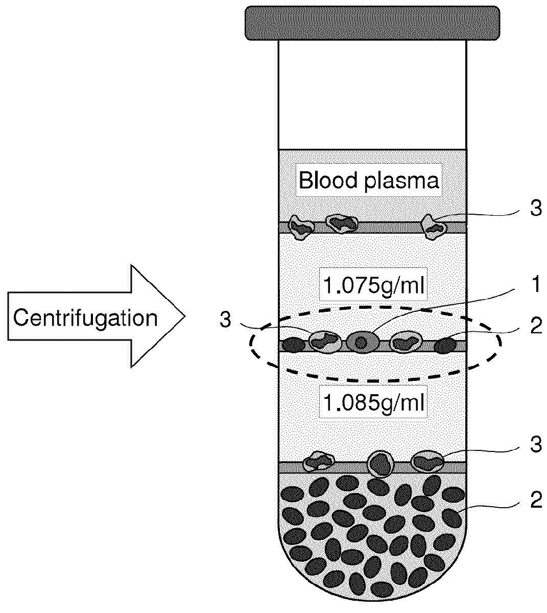 Method for collecting nucleated red blood cells via density-gradient centrifugation utilizing changes in blood cell density