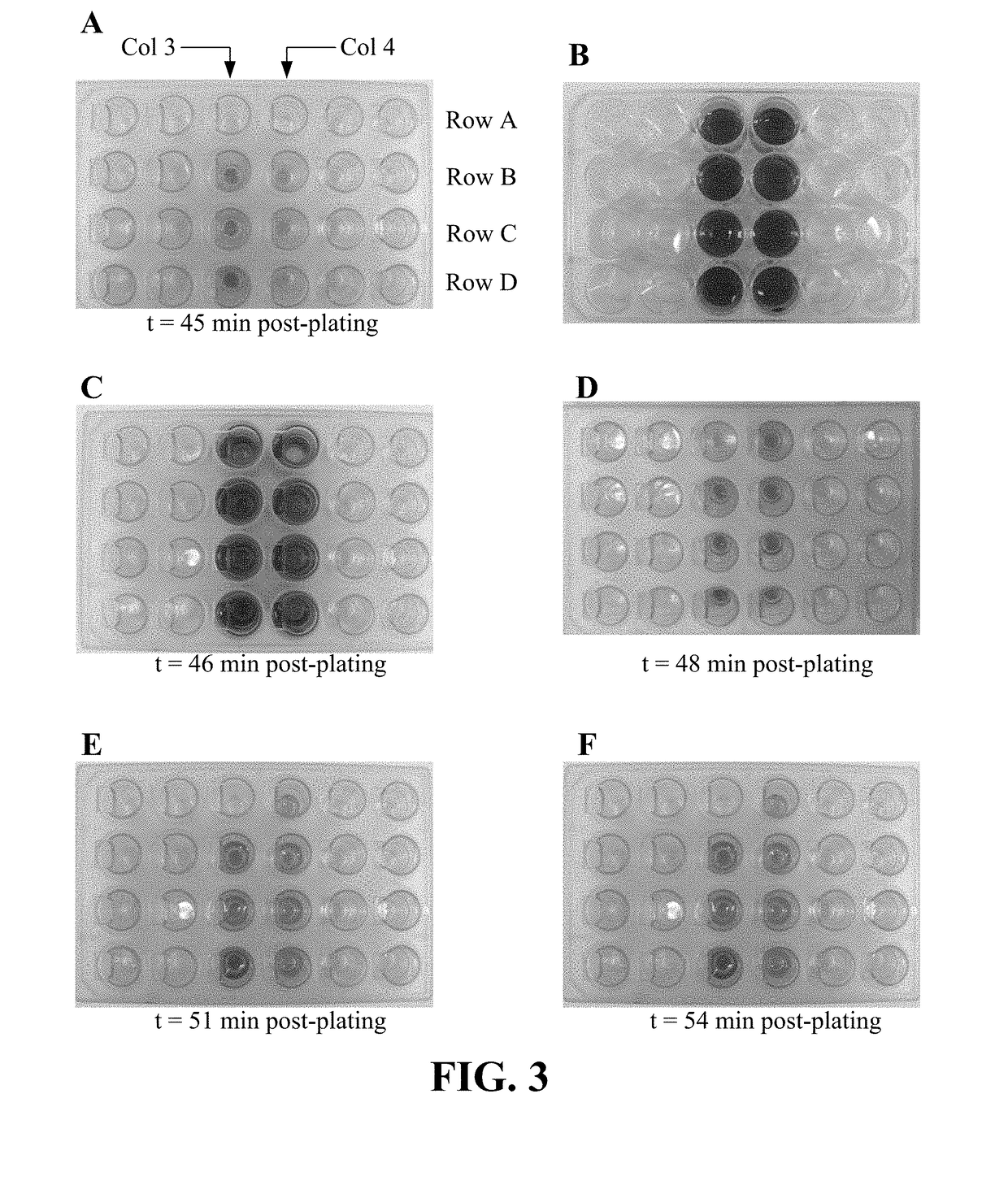 Intra-culture perfusion methods and applications thereof