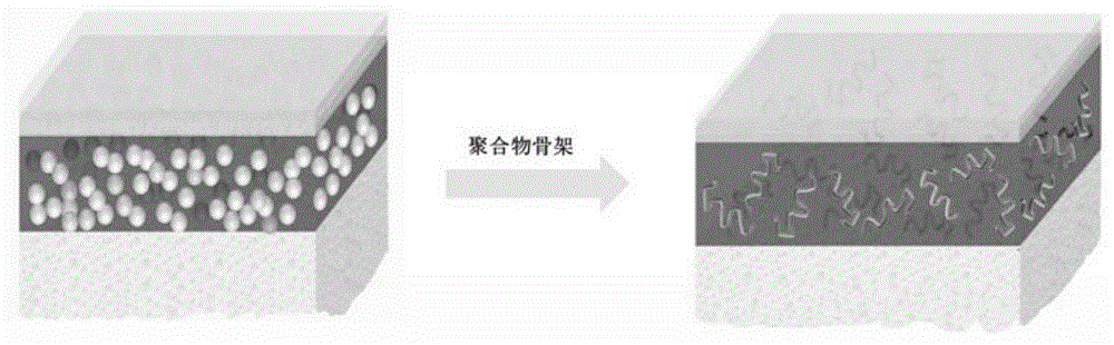 Flexible perovskite solar cell and preparation method thereof