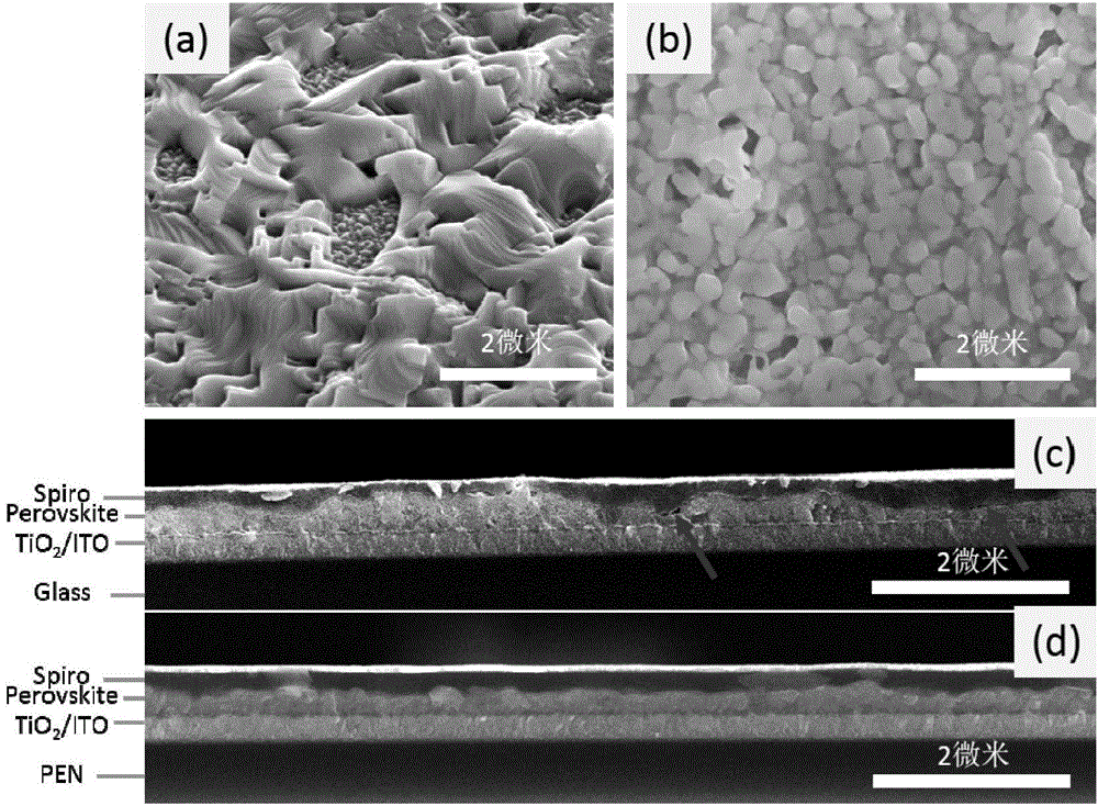 Flexible perovskite solar cell and preparation method thereof