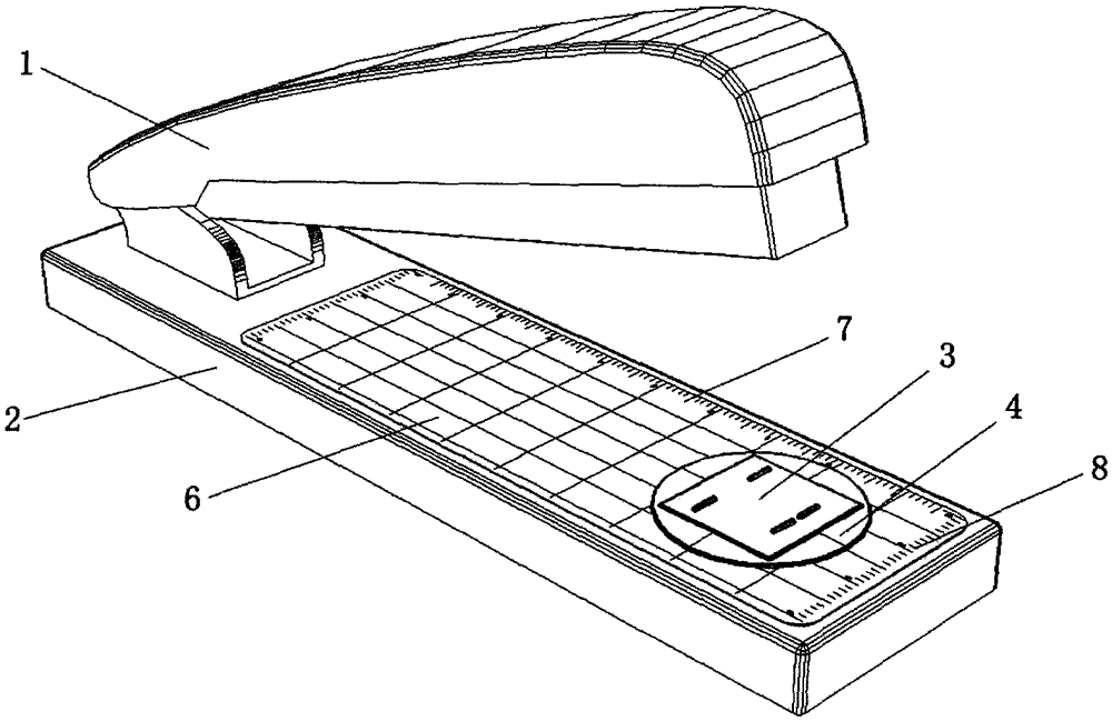 A stapler with a binding ruler