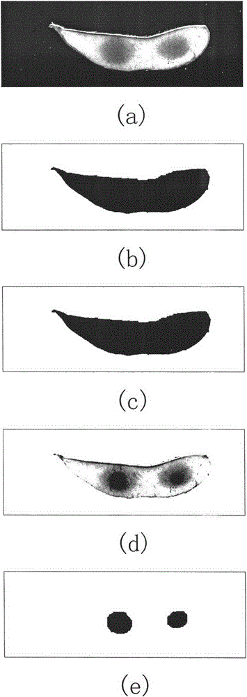 Method for automatically extracting area-of-interest from hyperspectral image of green soybeans based on iteration threshold value