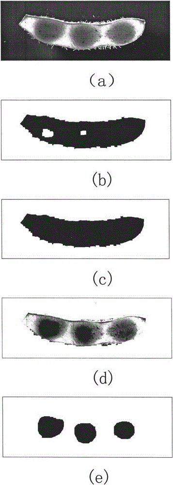 Method for automatically extracting area-of-interest from hyperspectral image of green soybeans based on iteration threshold value