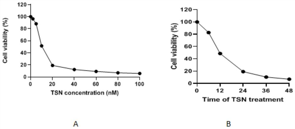 Application of traditional Chinese medicine toosendanin in preparation of product for preventing and treating glioma of nervous system