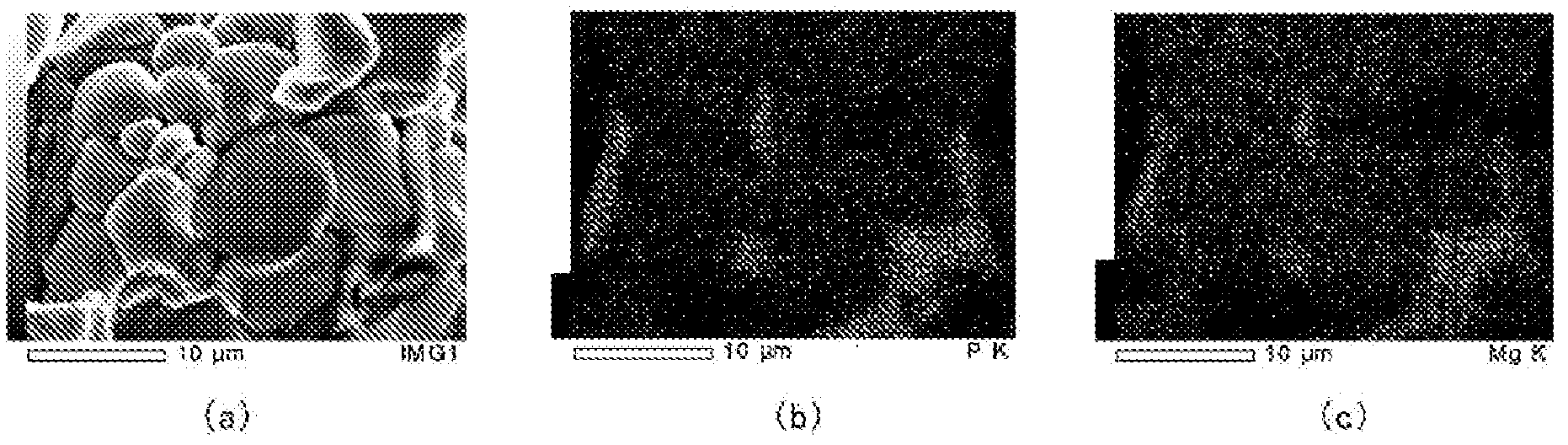 Electrophotographic developer carrier core material, manufacturing method therefor, electrophotographic developer carrier, and electrophotographic developer