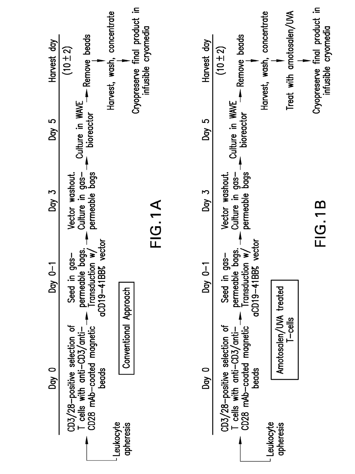 Compositions and methods for improved car-t cell therapies