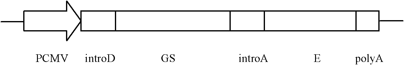 Fusion protein of tick-borne encephalitis virus envelop E protein and human antibody Fc fragment, and application thereof